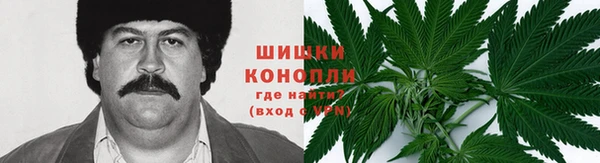 круглые Аркадак