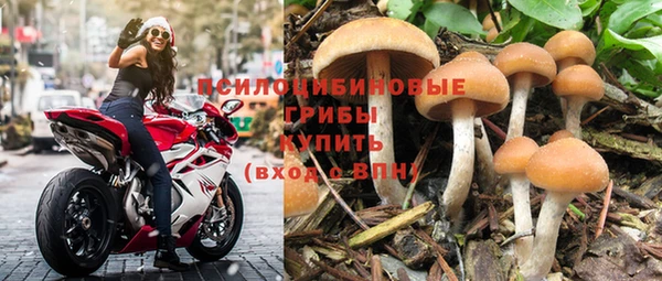круглые Аркадак
