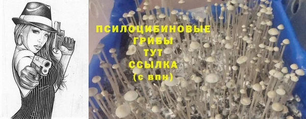 круглые Аркадак