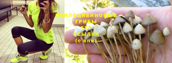 герыч Арсеньев